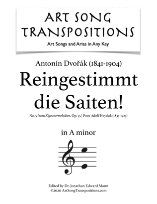 Book cover for DVORÁK: Reingestimmt die Saiten! Op. 55 no. 5 (transposed to A minor)