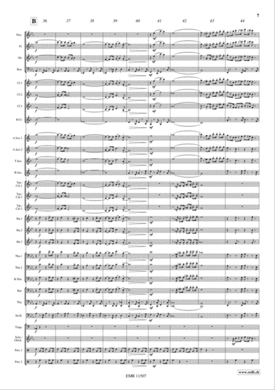 A Genius, Two Partners And A Dupe Concert Band scores gallery preview page 8