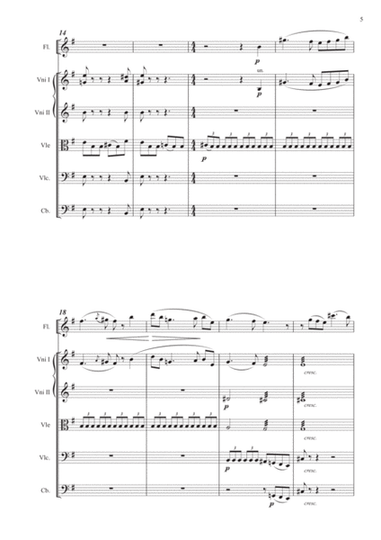 F. Borne: Carmen fantasy (Flute and strings)