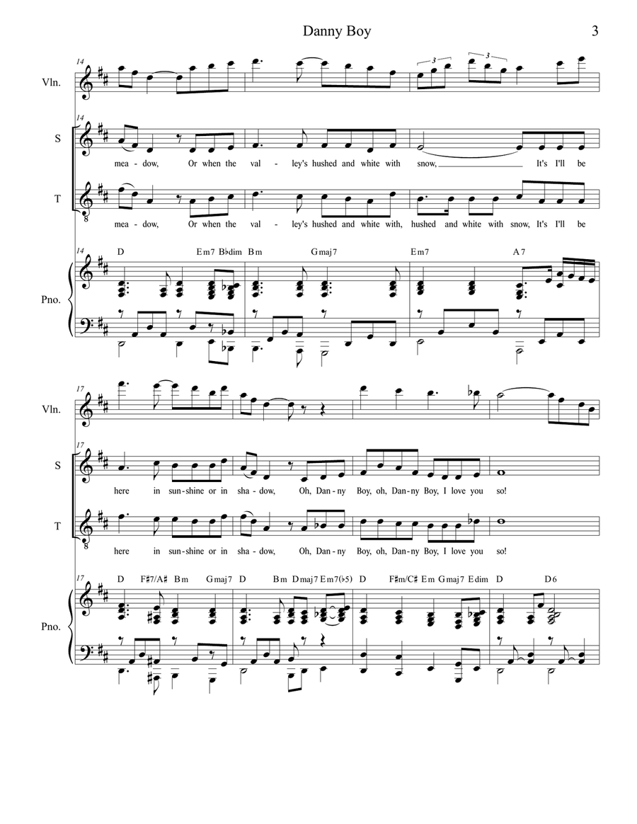 Danny Boy (Duet for Soprano and Tenor Solo) Tenor Voice scores gallery preview page 3