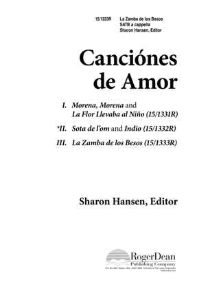Book cover for Canciónes de amor la zamba de los besos