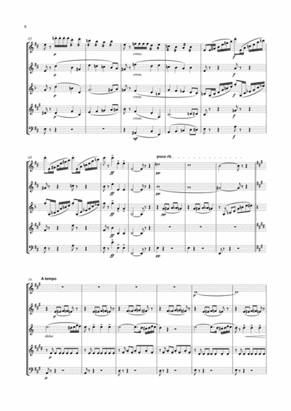 Briccialdi - Wind Quintet No.1 in D major, Op.124