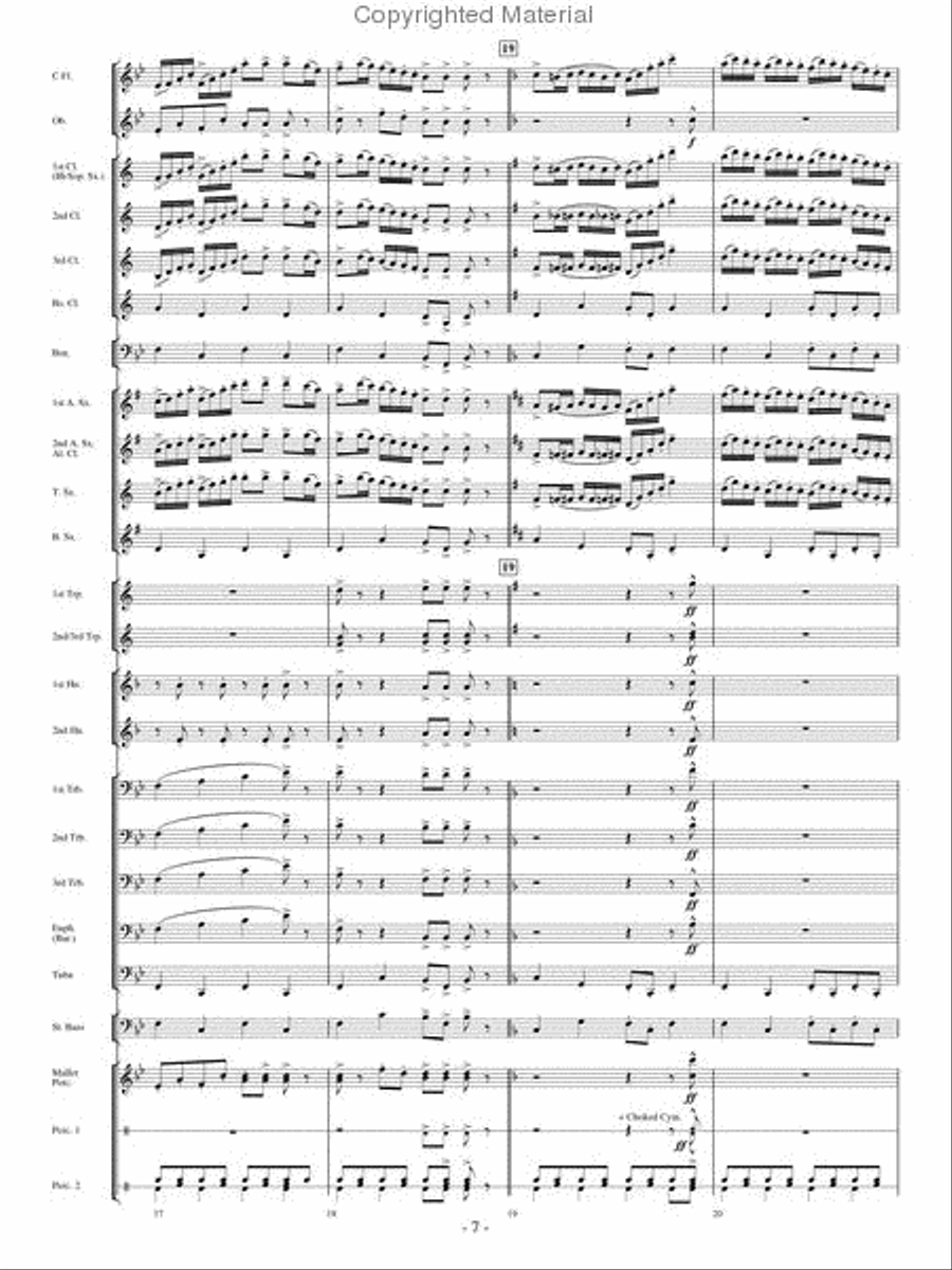 The Woodwind Polka Concert Band scores gallery preview page 6
