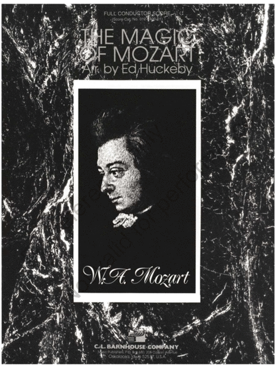 The Magic of Mozart image number null