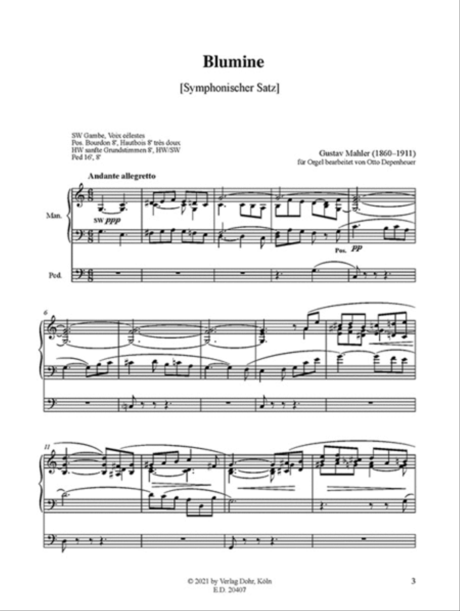 Blumine (für Orgel) Organ scores gallery preview page 2