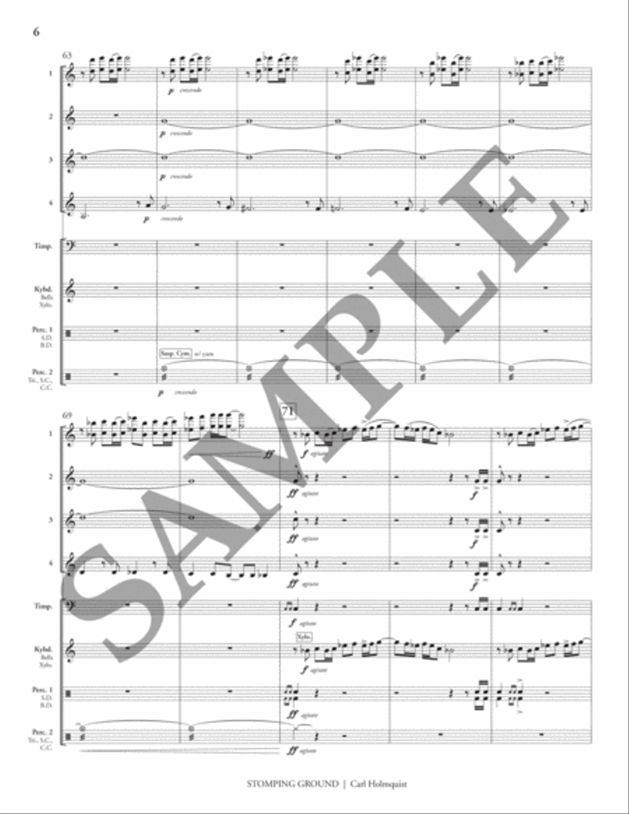 Stomping Ground (transposed score) Flexible/Adaptable scores gallery preview page 11