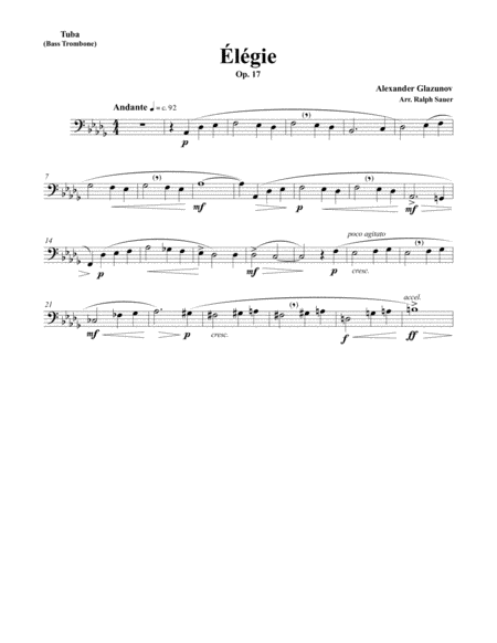 Elegie Opus 17 for Tuba or Bass Trombone & Piano image number null