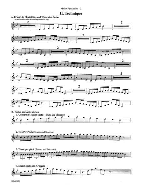 Symphonic Band Clinic: Mallets
