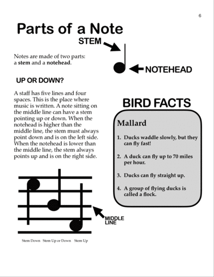 Learn Music Through Coloring Notes, Rests, and Meter: Birds Piano Method scores gallery preview page 6