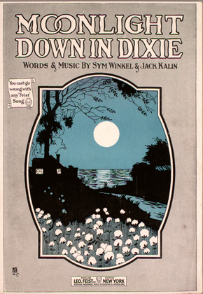 Book cover for Moonlight Down in Dixie