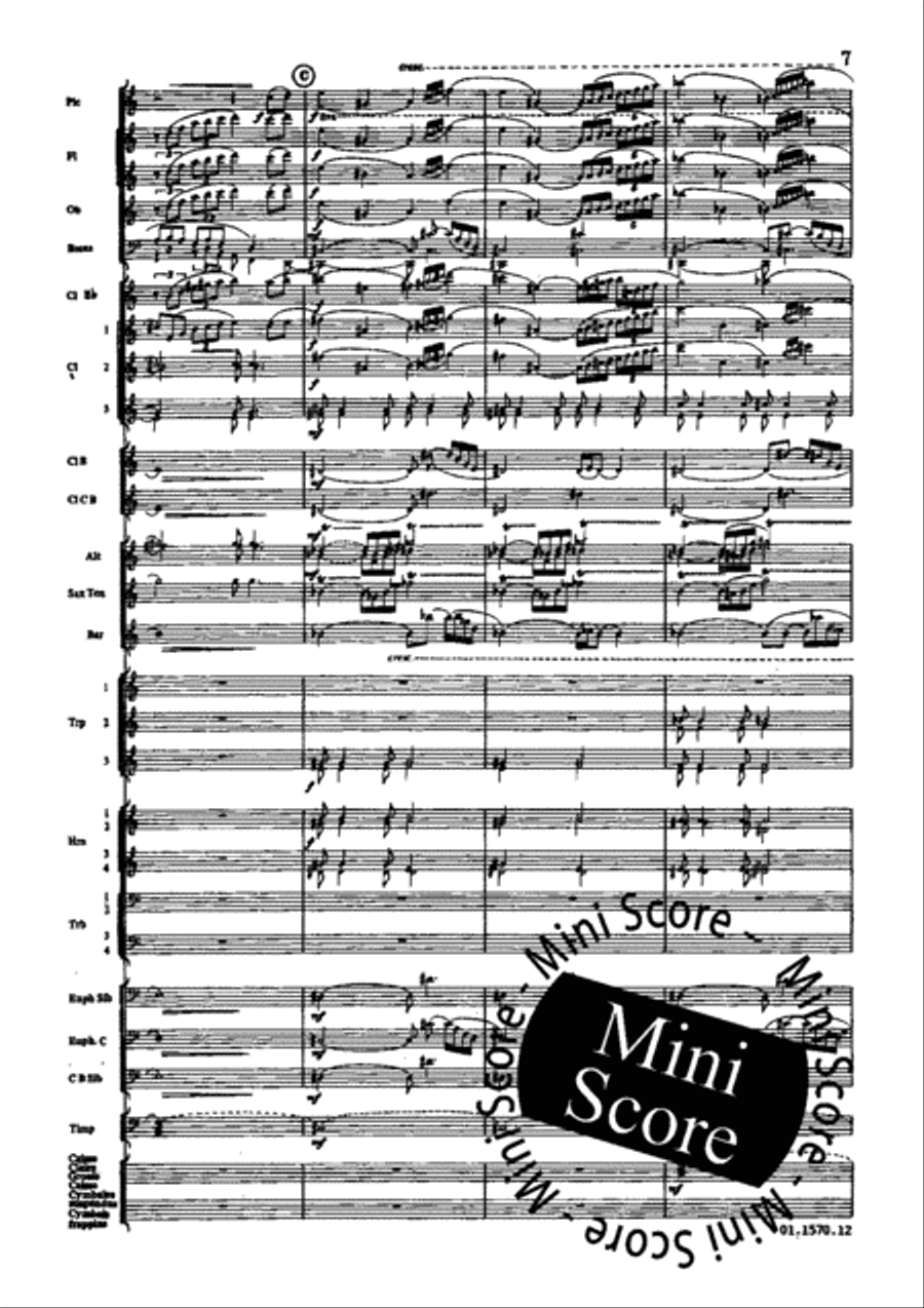 Poeme du Feu Concert Band scores gallery preview page 13