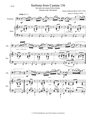 Sinfonia from Cantata 156, I Stand at the Threshold