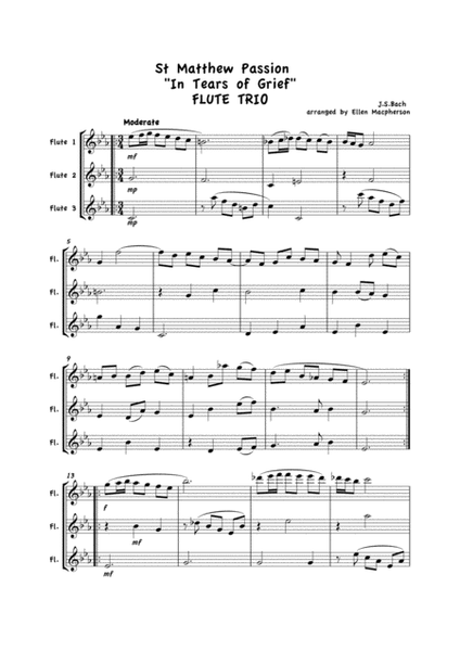 St Matthews Passion - Flute Trio image number null