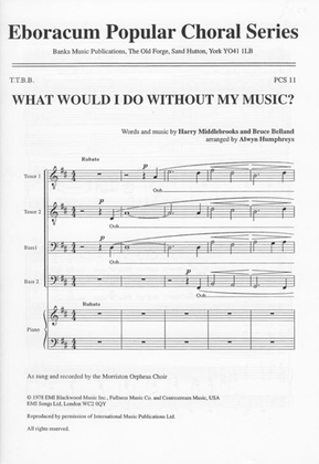 Book cover for What Would I Do Without My Music?