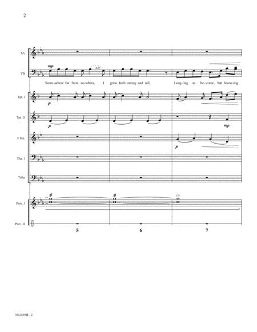 Omnia Sol - Brass and Percussion Score and Parts Horn scores gallery preview page 3
