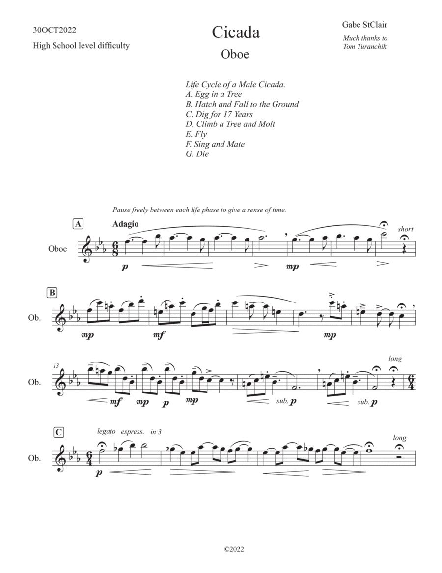 Cicada (HighSchool difficulty) Chamber Music scores gallery preview page 1