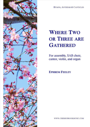 Book cover for Where Two or Three are Gathered