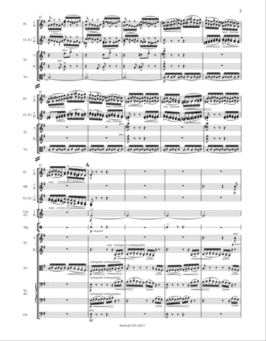 Vltava (The Moldau) Vltava (The Moldau) Orchestra scores gallery preview page 4