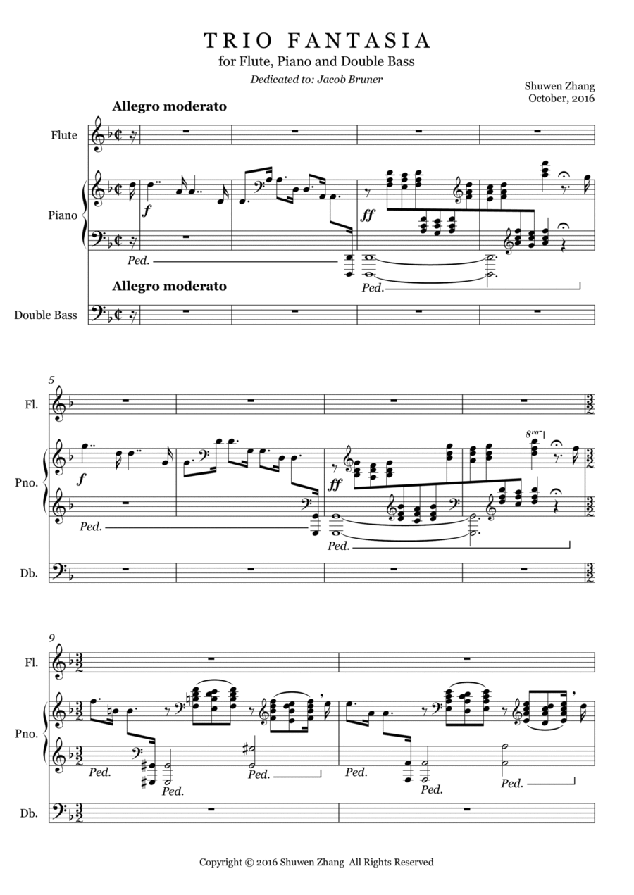 Trio Fantasia in d minor Small Ensemble scores gallery preview page 1