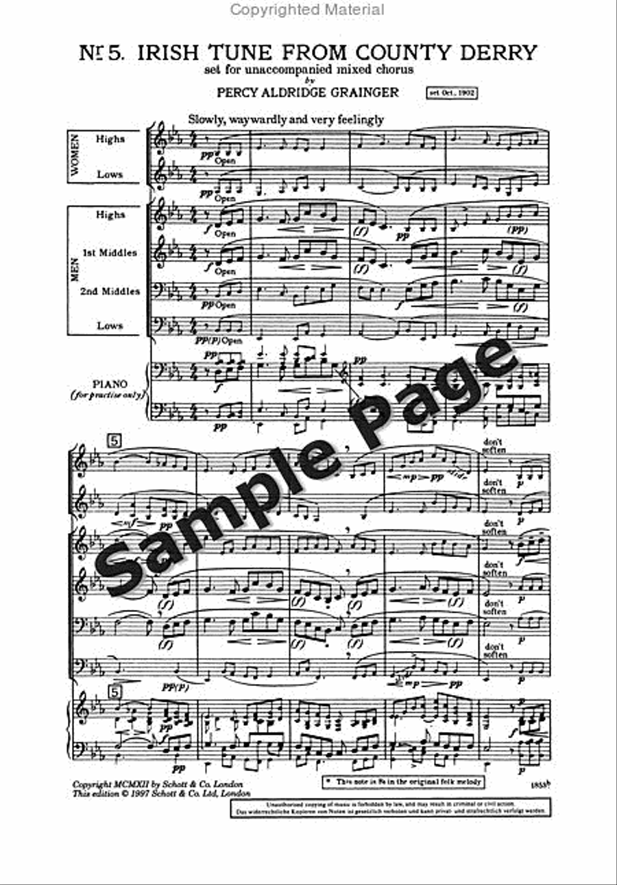 Irish Tune from County Derry Divisi scores gallery preview page 4