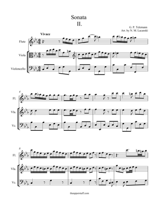 Book cover for Sonata in C Minor Movement II