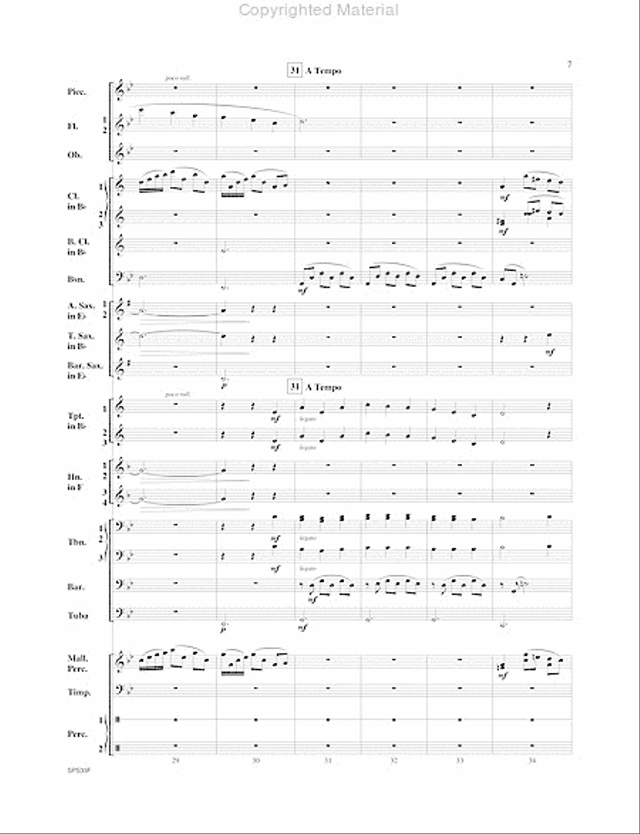 I Wonder As I Wander I Wonder As I Wander Concert Band scores gallery preview page 8