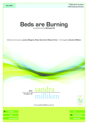 Book cover for Beds Are Burning