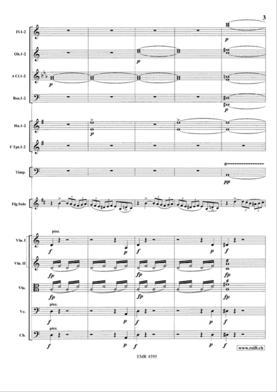 Concerto in A minor Orchestra scores gallery preview page 5