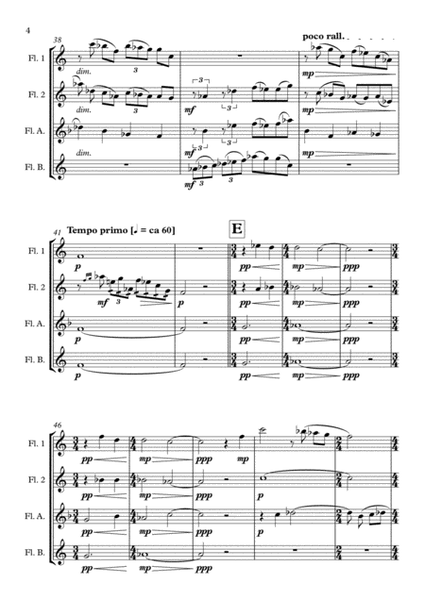 Il Giardino Romano - Giordano Maselli (flute quartet) image number null