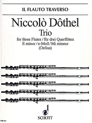 Book cover for Trio in E Minor