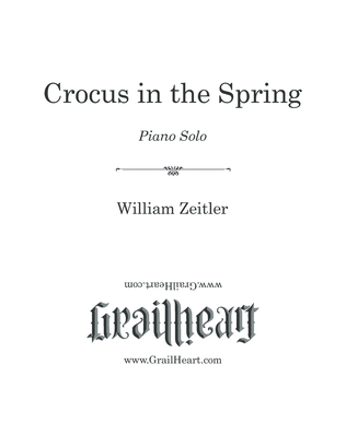 Crocus in the Spring