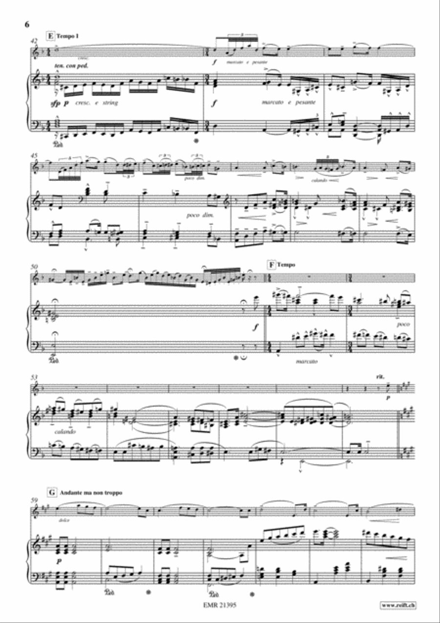 Concerto No. 5 Tenor Recorder scores gallery preview page 6