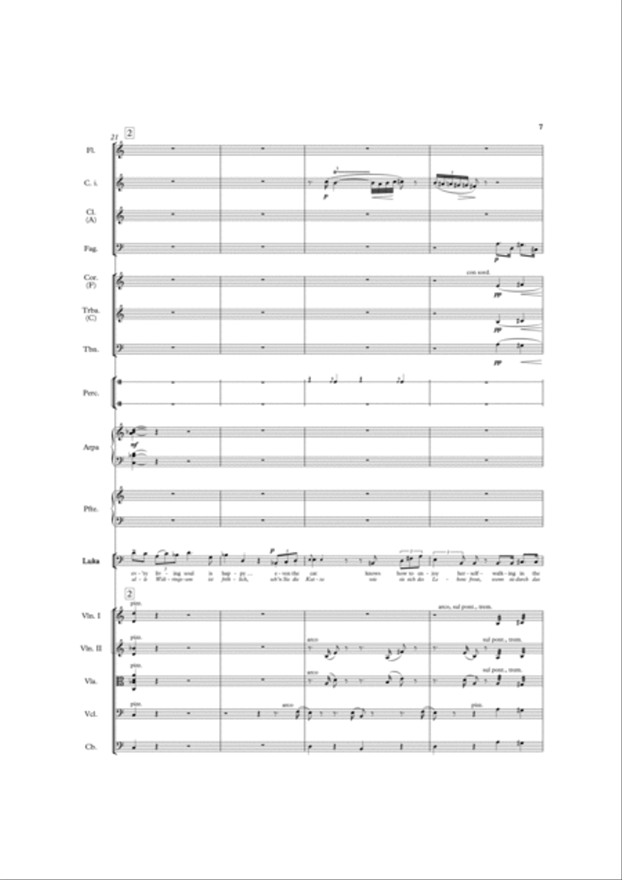 The Bear The Bear Chamber Orchestra scores gallery preview page 8