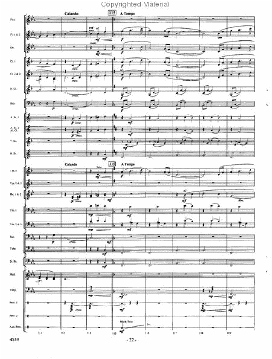 Into the Raging River Into the Raging River Concert Band scores gallery preview page 21