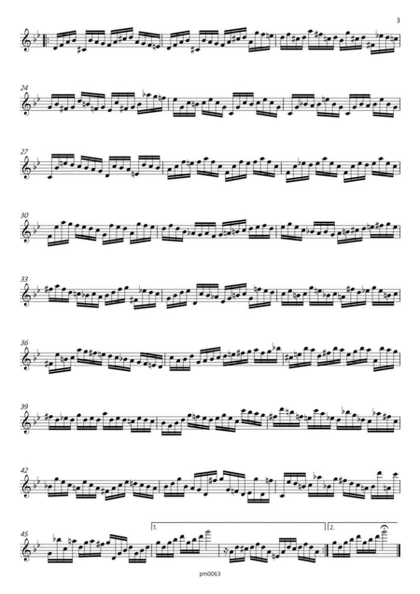 Partita, BWV 1013, for Alto Flute image number null
