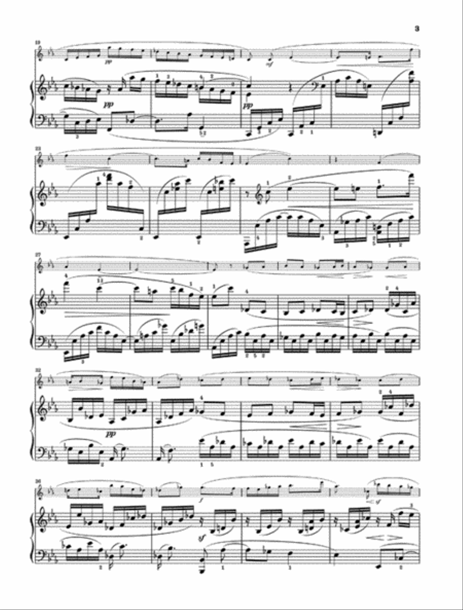 Suite, Op. 34 Flute Solo scores gallery preview page 4