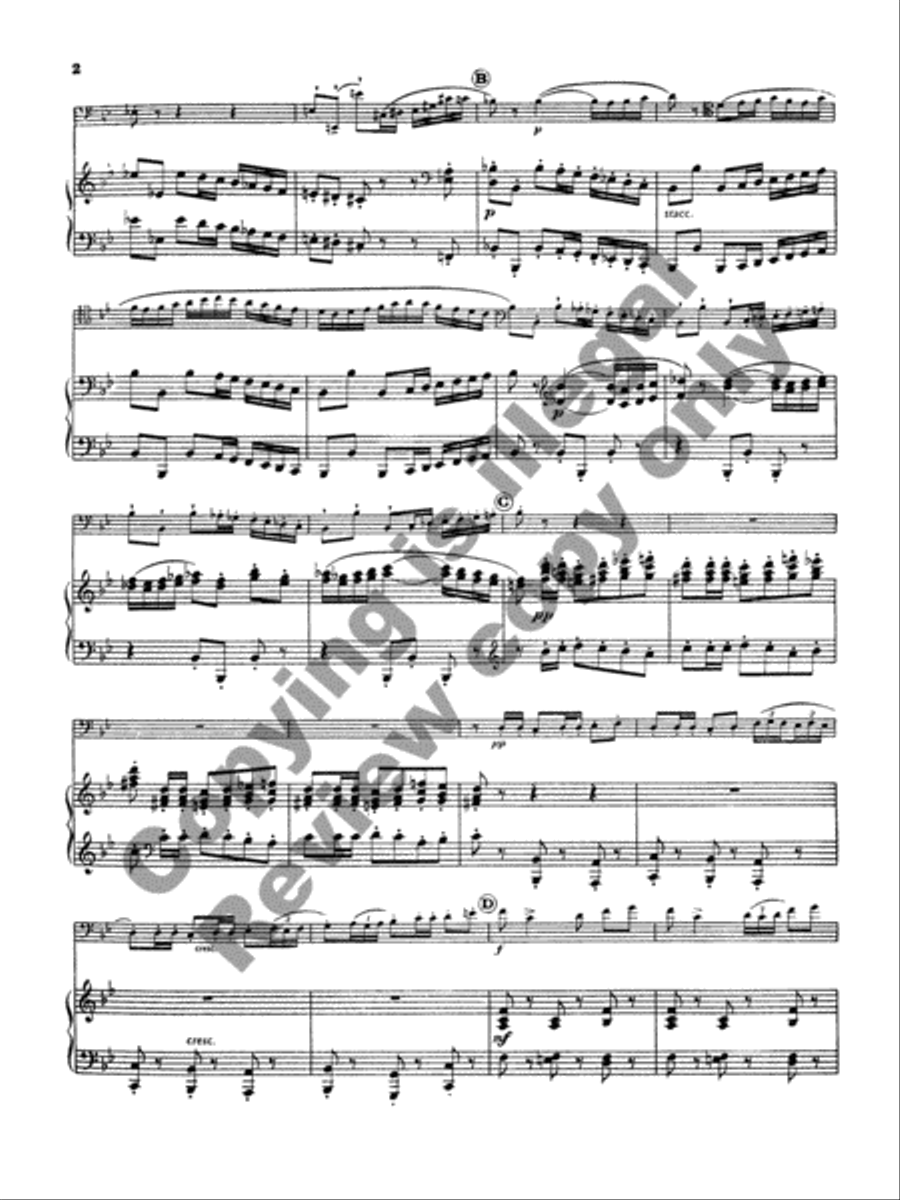Concerto for Bassoon & Strings (or Band) Orchestra scores gallery preview page 4
