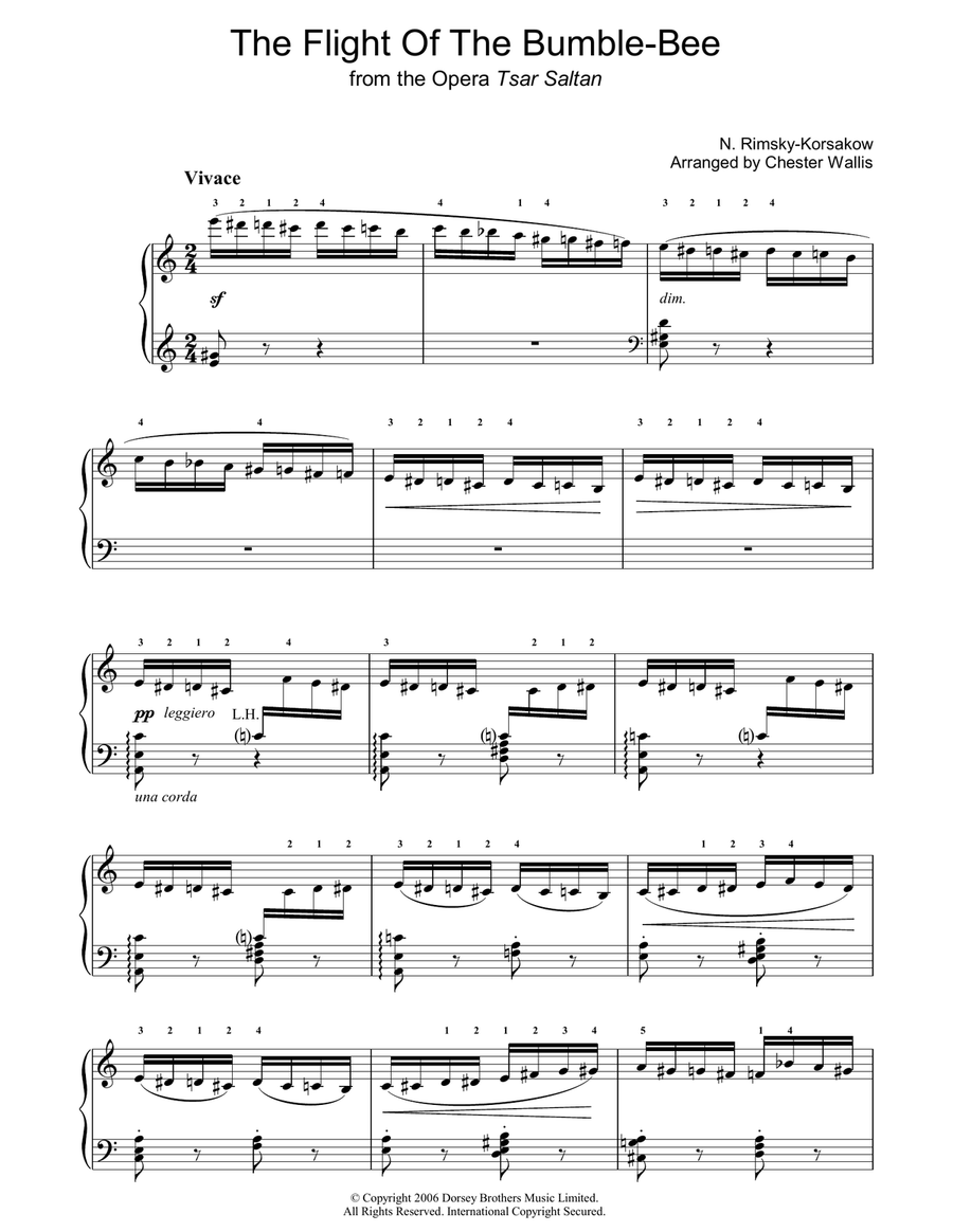The Flight Of The Bumblebee (from The Tale Of Tsar Saltan) Piano Solo scores gallery preview page 1