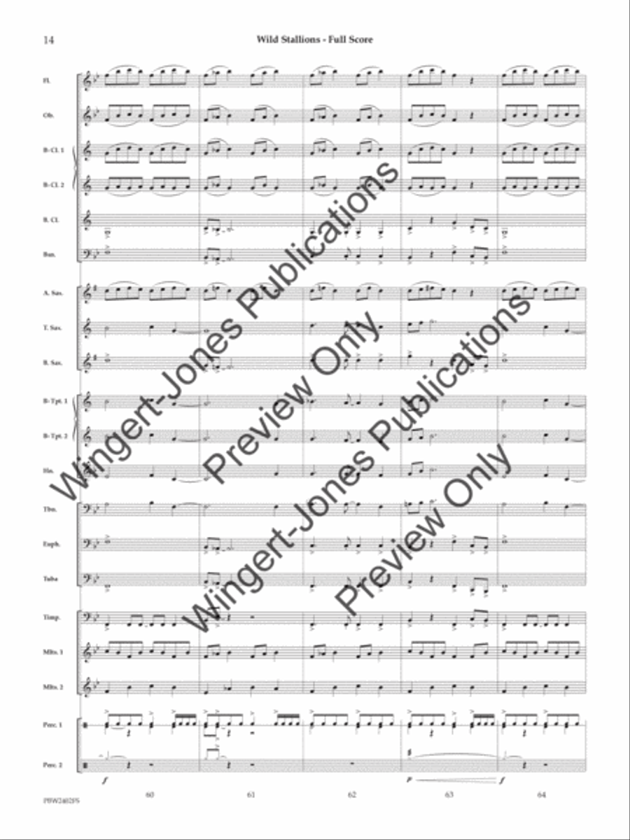 Wild Stallions (Score) Concert Band scores gallery preview page 15