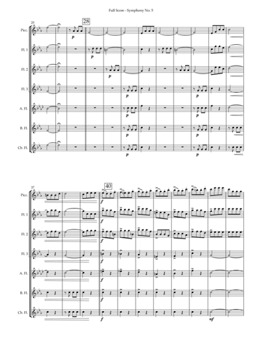 Symphony No. 5 (Beethoven) for flute ensemble
