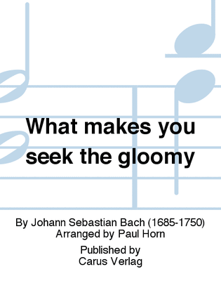 What makes you seek the gloomy (Was willst du dich betruben)