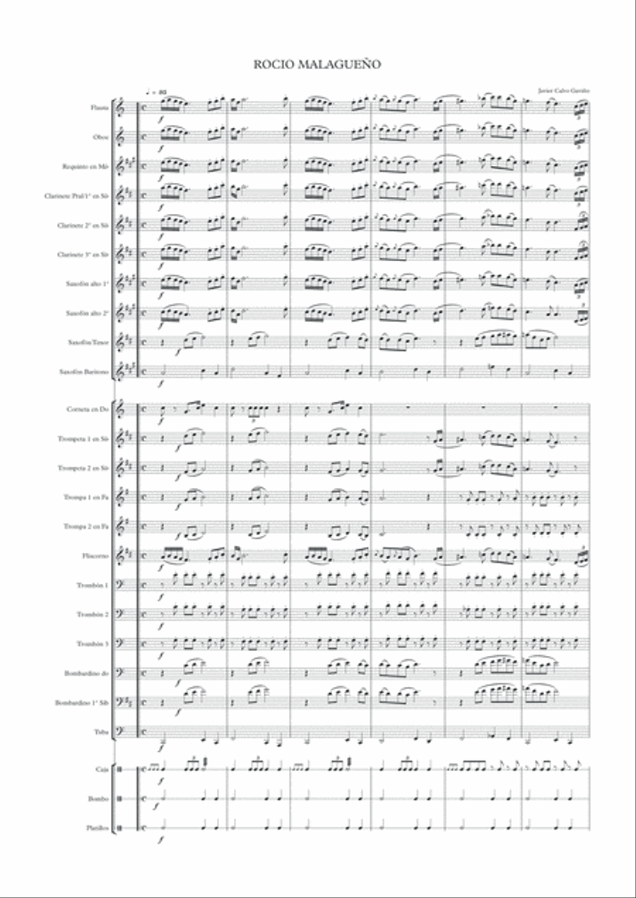 Rocío Malagueño Rocío Malagueño Concert Band scores gallery preview page 2