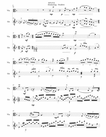 Swallow ԾԻԾԵՌՆԱԿ (Dzidzernag) arranged for viola and guitar image number null