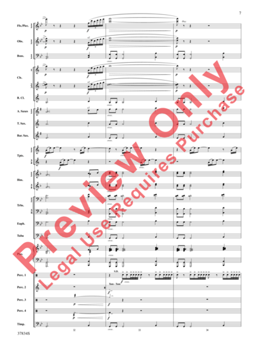 Poor Wayfaring Stranger Concert Band scores gallery preview page 8