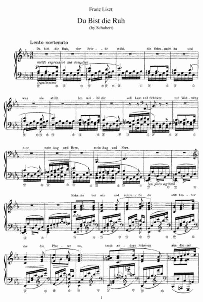 Franz Liszt - Du Bist die Ruh (by Schubert)