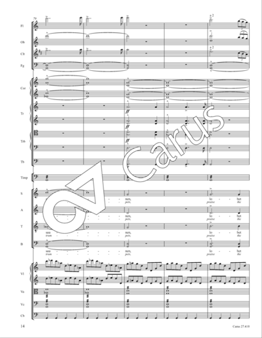 Psalm 150: Halleluja! Lobet den Herrn in seinem Heiligtum Orchestra scores gallery preview page 19
