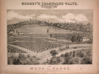 Bugbey's Champagne Waltz