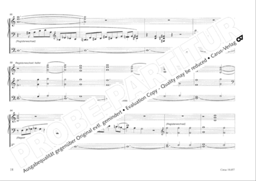 Toccata and Fugue Organ scores gallery preview page 19