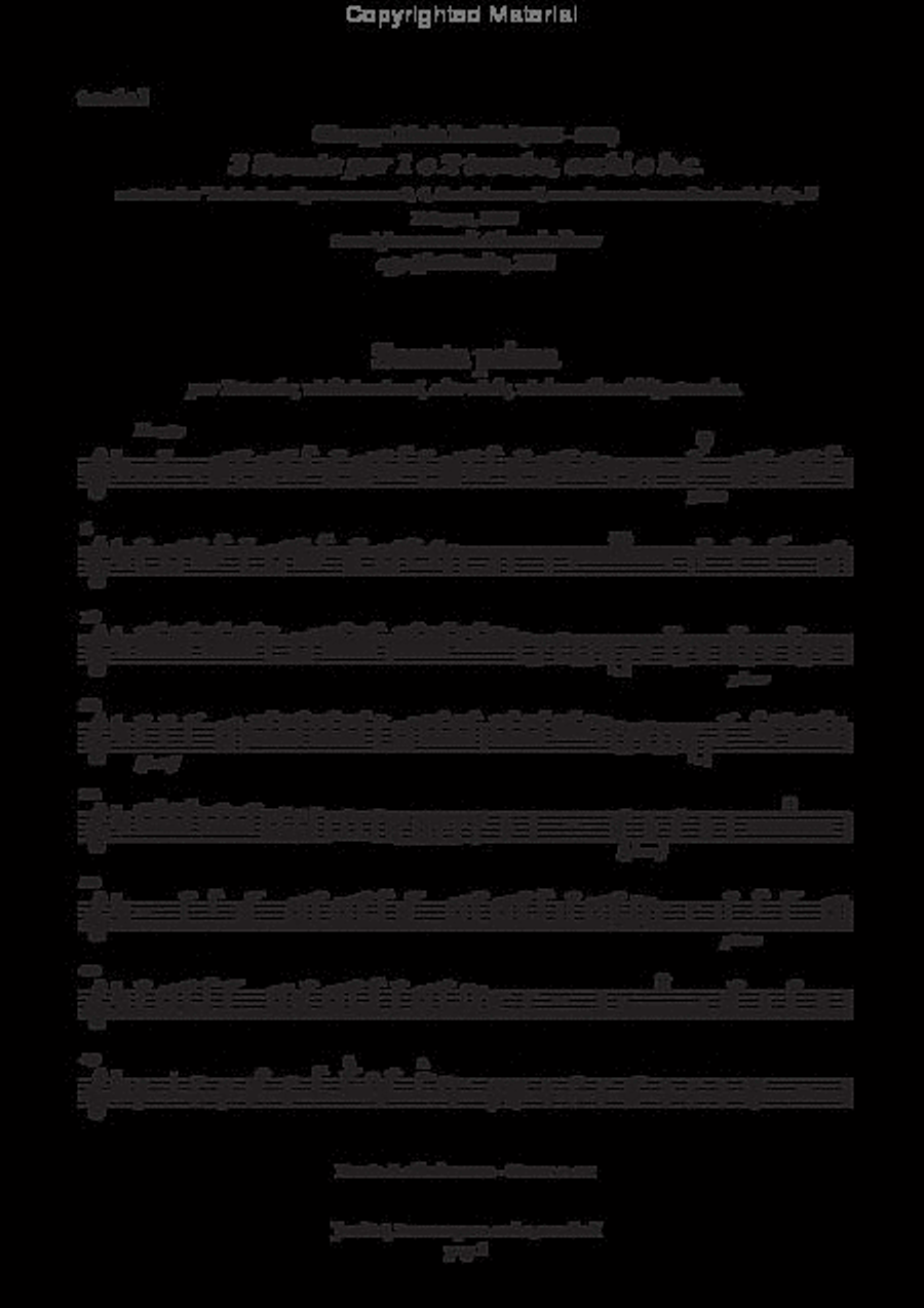 3 Sonate per 1 e 2 trombe, archi e b.c. (Bologna, 1703) Trumpet Duet scores gallery preview page 3
