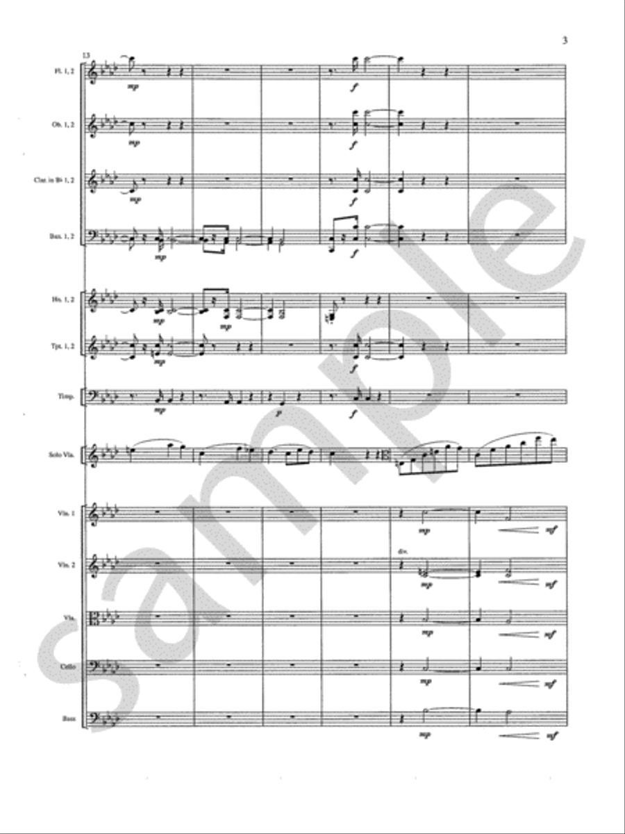 Concerto Orchestra scores gallery preview page 5